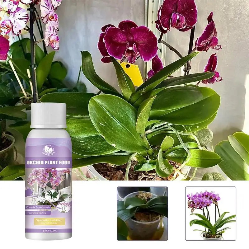 50ml Orchid Fertilizer Liquid Orchid Flower Plants Growth Enhancer Supplement Houseplants Food Promoter For Orchids Acid Blooms