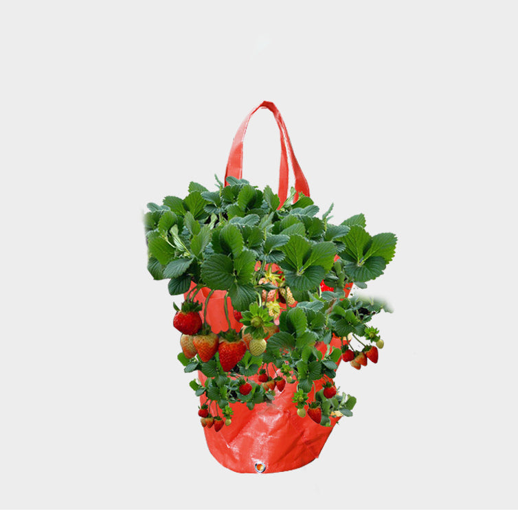 3 Gallon Hanging Strawberry Bag Gardening Flower Planting Bag PE Aerial Gardening Planting