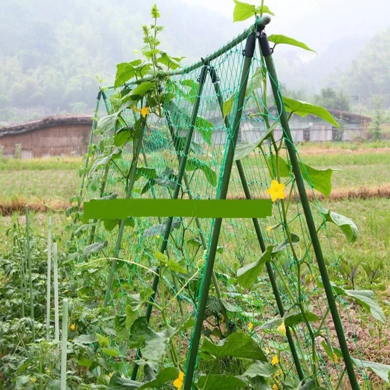 Nylon Mesh Horticulture Plant Crawl Net Loofah Morning Glory Cucumber Vine Grow Holder Crawl Farm Gardening Network