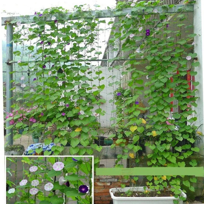 Nylon Mesh Horticulture Plant Crawl Net Loofah Morning Glory Cucumber Vine Grow Holder Crawl Farm Gardening Network