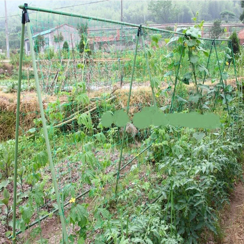 Nylon Mesh Horticulture Plant Crawl Net Loofah Morning Glory Cucumber Vine Grow Holder Crawl Farm Gardening Network