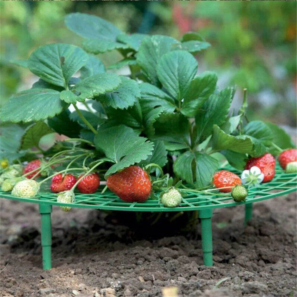 Balcony Vegetable Rack